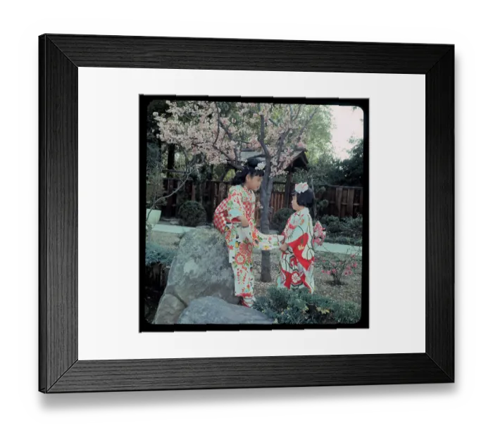 Framed Print : Japanese Girls Discussing Their Outfits Next to Blossomed Tree Framed Print : Japanese Girls Discussing Their Outfits Next to Blossomed Tree