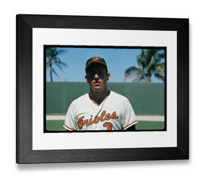 Framed Print : Portrait of Curt Blefary Posing in Orioles Uniform Framed Print : Portrait of Curt Blefary Posing in Orioles Uniform