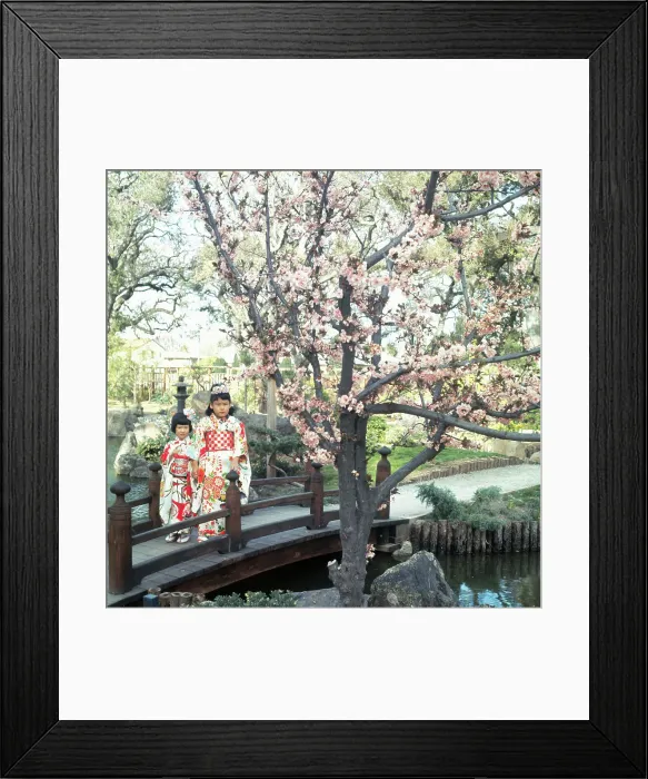 Framed Print : Japanese Girls Standing on Bridge Next to Blossoming Trees Framed Print : Japanese Girls Standing on Bridge Next to Blossoming Trees
