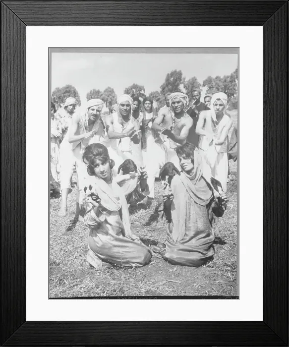 Framed Print : Egyptian Girls with Goats During Village Dance