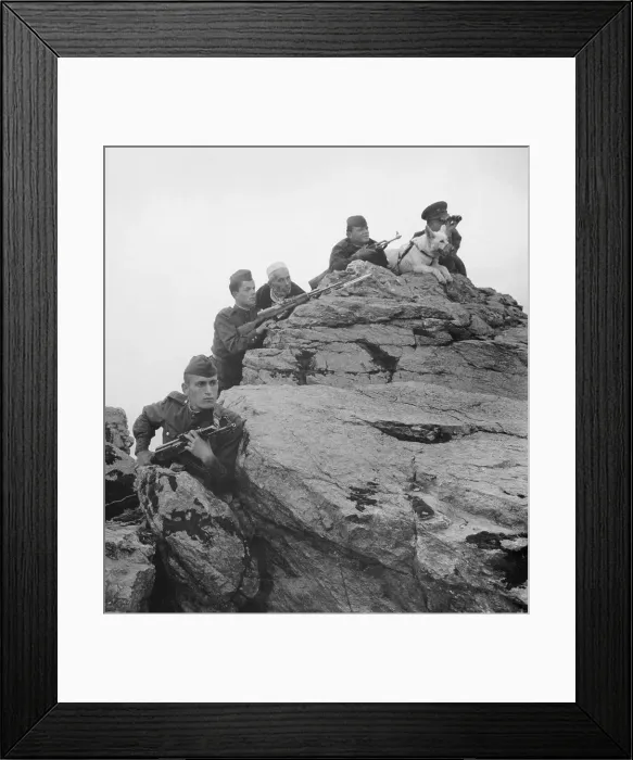 Framed Print : Albanian Soldiers and Watch Dog on Guard Atop Large Rock Framed Print : Albanian Soldiers and Watch Dog on Guard Atop Large Rock