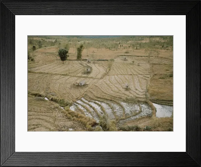 Framed Print : Phu Cat, Vietnam War