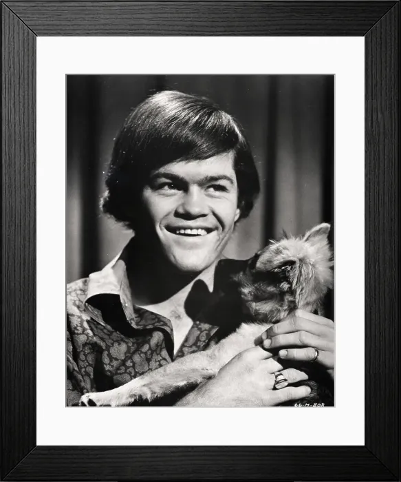 Framed Print : Micky Dolenz of The Monkees
