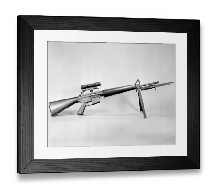Framed Print : AR-15 Rifle Framed Print : AR-15 Rifle