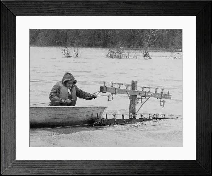 Framed Print : Flooded North Dakota Framed Print : Flooded North Dakota