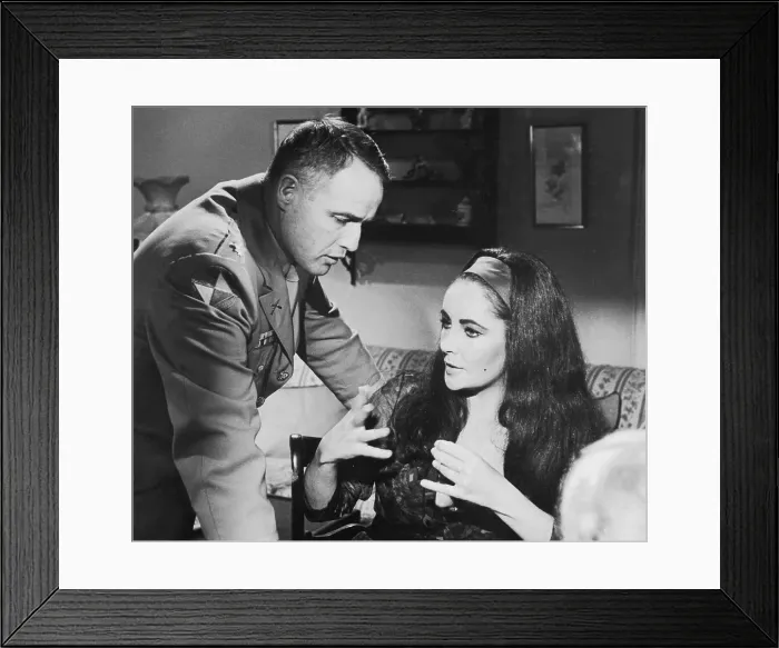 Framed Print : Portrait of Elizabeth Taylor and Marlon Brando Framed Print : Portrait of Elizabeth Taylor and Marlon Brando