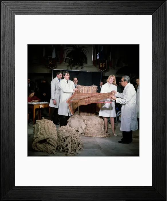 Framed Print : Unveiling Of Mummy Bundle Framed Print : Unveiling Of Mummy Bundle