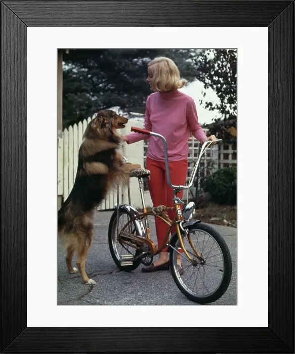 Framed Print : Rose Queen Barbara Hewitt With Dog Framed Print : Rose Queen Barbara Hewitt With Dog