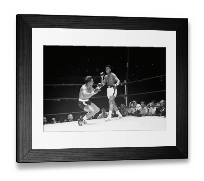 Framed Print : Muhammad Ali Standing Over Cleveland Williams Framed Print : Muhammad Ali Standing Over Cleveland Williams