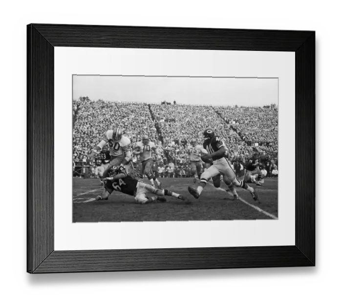 Framed Print : Gale Sayers Races Past Opponents in Football Game Framed Print : Gale Sayers Races Past Opponents in Football Game