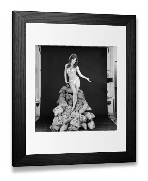 Framed Print : Raquel Welch in Bikini atop Money Bags Framed Print : Raquel Welch in Bikini atop Money Bags