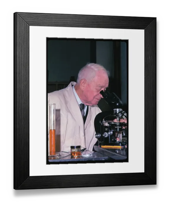 Framed Print : Francis Peyton Looking Through Microscope Framed Print : Francis Peyton Looking Through Microscope