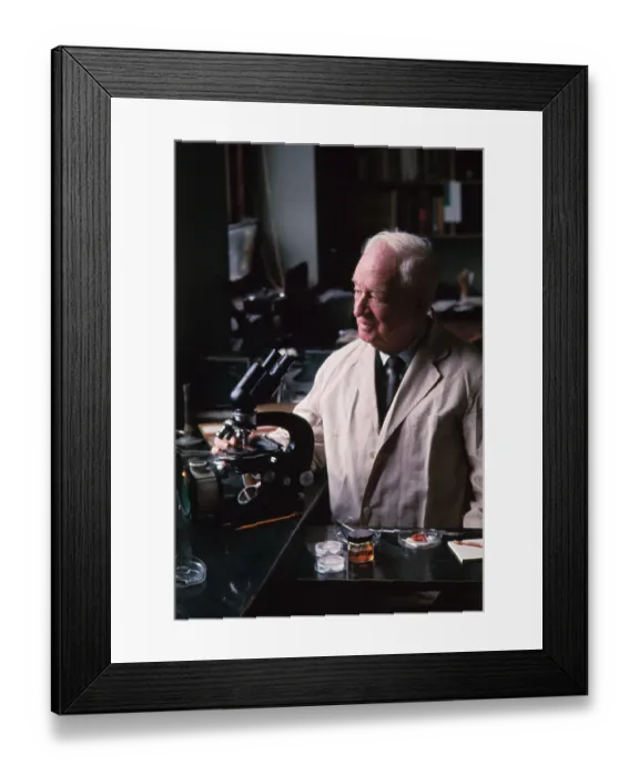 Framed Print : Portrait of Dr. Francis Peyton Framed Print : Portrait of Dr. Francis Peyton