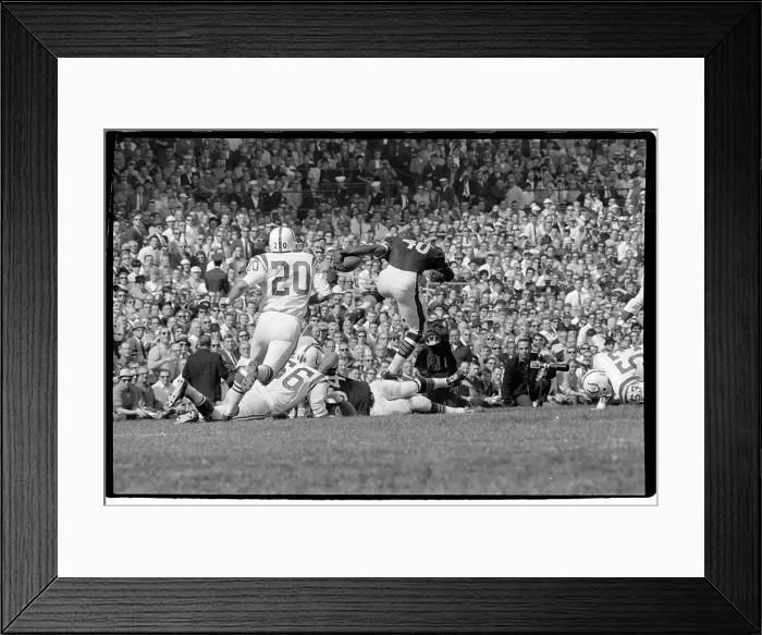 Framed Print : Gale Sayers Leaps Over Downed Players Framed Print : Gale Sayers Leaps Over Downed Players