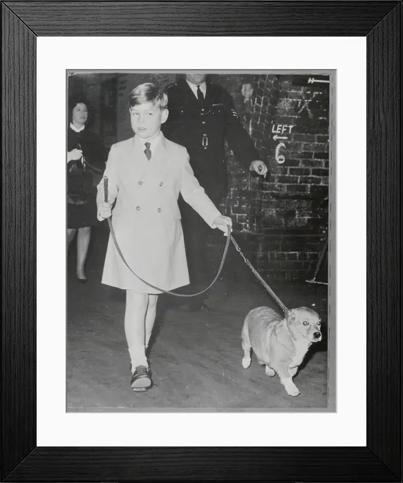 Framed Print : Prince Andrew Walking His Dog Framed Print : Prince Andrew Walking His Dog