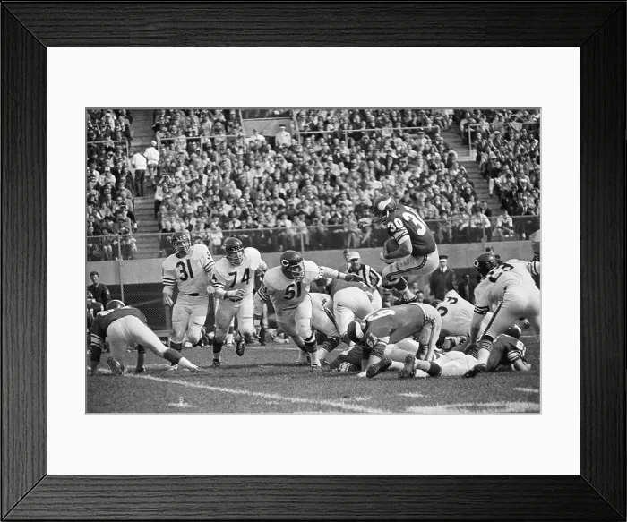 Framed Print : Minnesota Viking Player Leaps Over Opponents Framed Print : Minnesota Viking Player Leaps Over Opponents