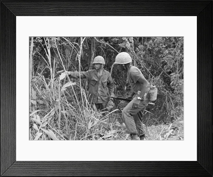Framed Print : Soldiers Look in Brush For Sniper Framed Print : Soldiers Look in Brush For Sniper