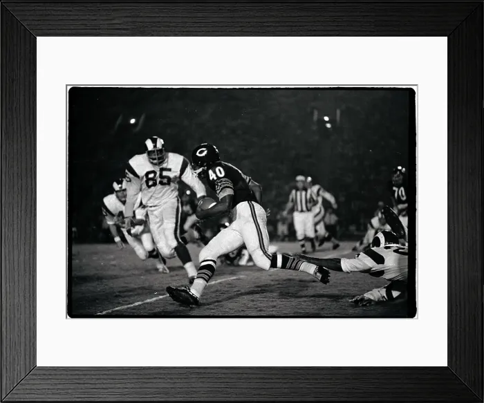Framed Print : Gale Sayers Playing Football Framed Print : Gale Sayers Playing Football