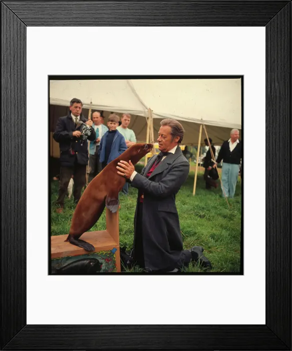 Framed Print : Seal Nipping at Actor Rex Harrison's Nose Framed Print : Seal Nipping at Actor Rex Harrison's Nose