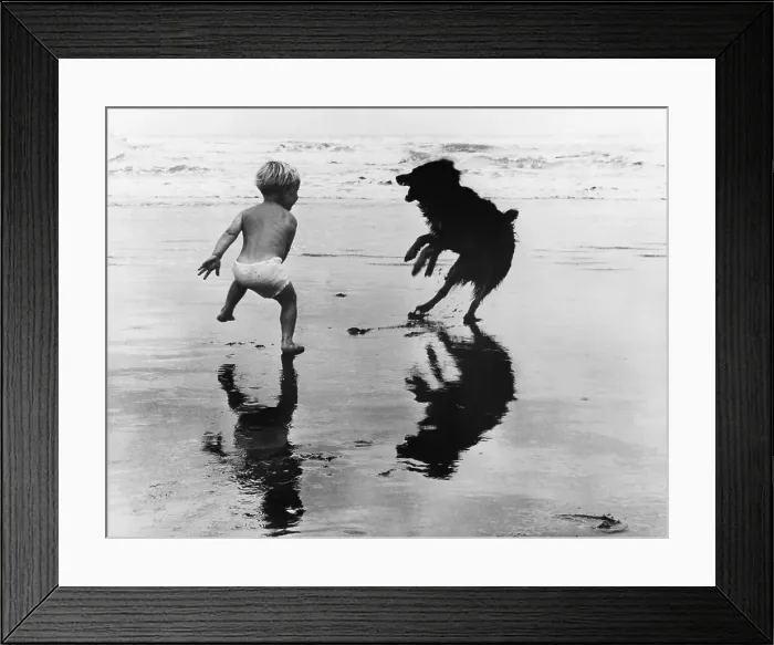 Framed Print : Boy and Dog Playing on a New Zealand Beach Framed Print : Boy and Dog Playing on a New Zealand Beach