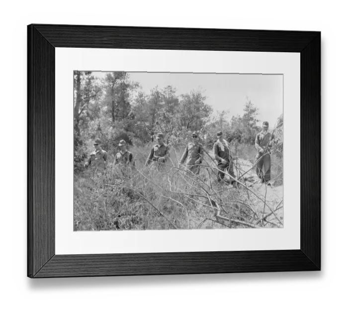 Framed Print : Soldiers Searching Wooded Area Framed Print : Soldiers Searching Wooded Area