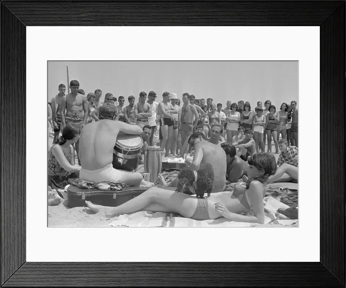 Framed Print : People And Dog At Newport Jazz Festival Framed Print : People And Dog At Newport Jazz Festival