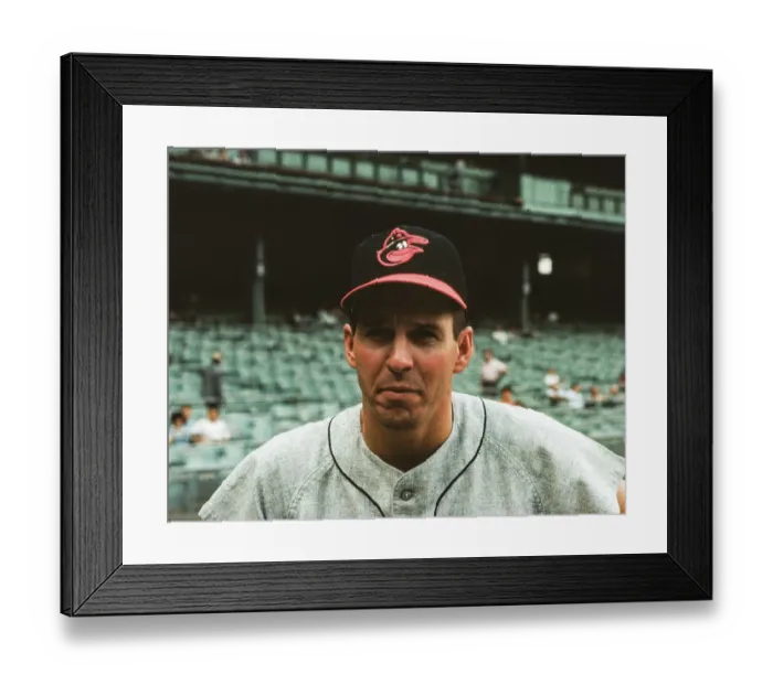 Framed Print : Portrait of Baltimore Orioles Infielder Brooks Robinson Framed Print : Portrait of Baltimore Orioles Infielder Brooks Robinson