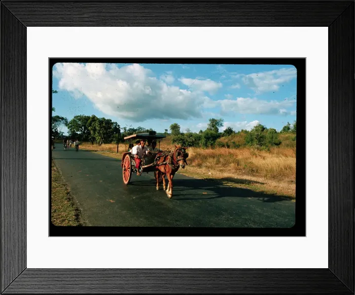 Framed Print : Horse Drawn Cart Traveling on Road Framed Print : Horse Drawn Cart Traveling on Road