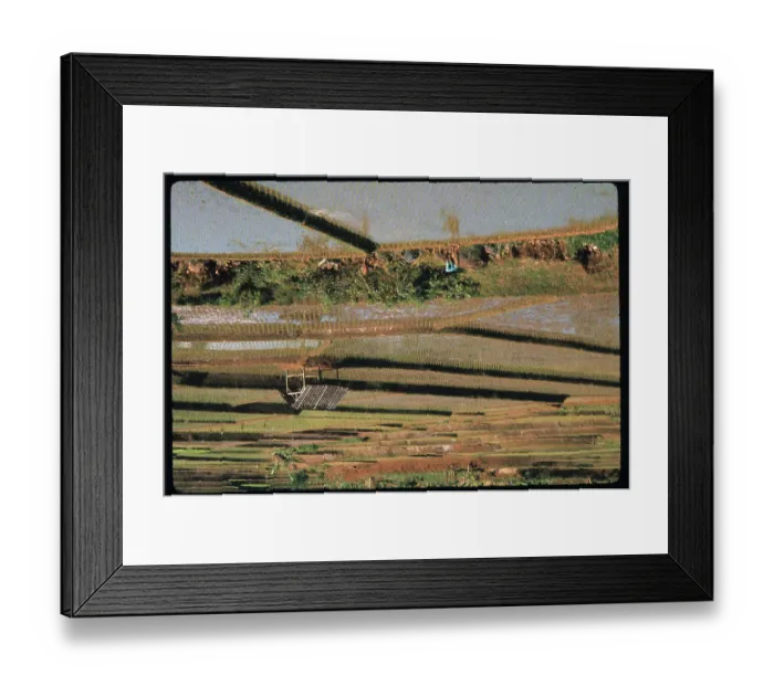 Framed Print : Woman and Children Working Working in field Framed Print : Woman and Children Working Working in field
