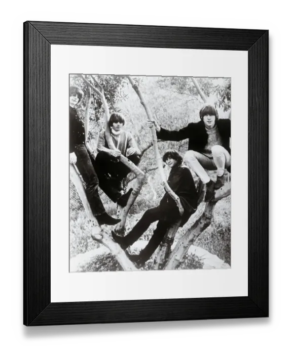 Framed Print : The Byrds Musical Group Framed Print : The Byrds Musical Group