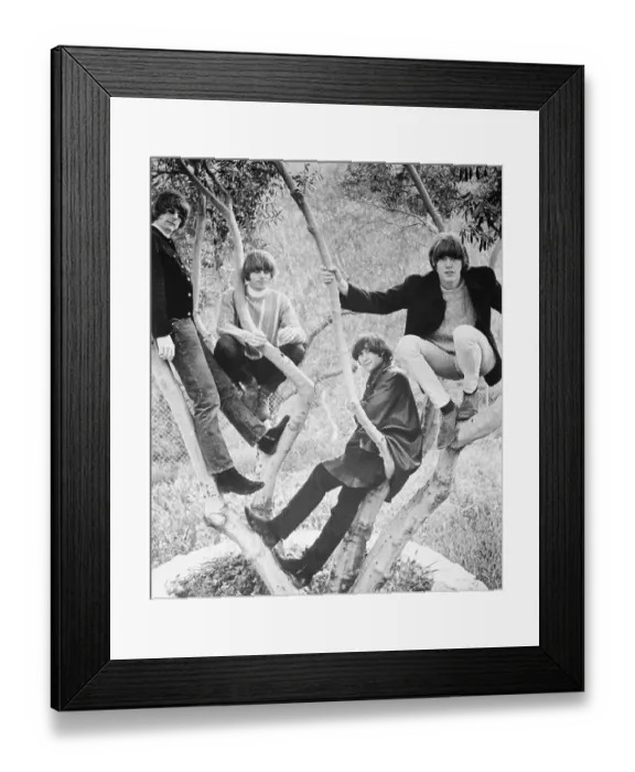 Framed Print : Portrait of The Byrds Framed Print : Portrait of The Byrds