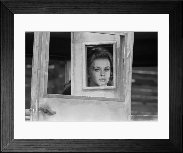 Framed Print : Ann-Margret Looking Thru Window Framed Print : Ann-Margret Looking Thru Window