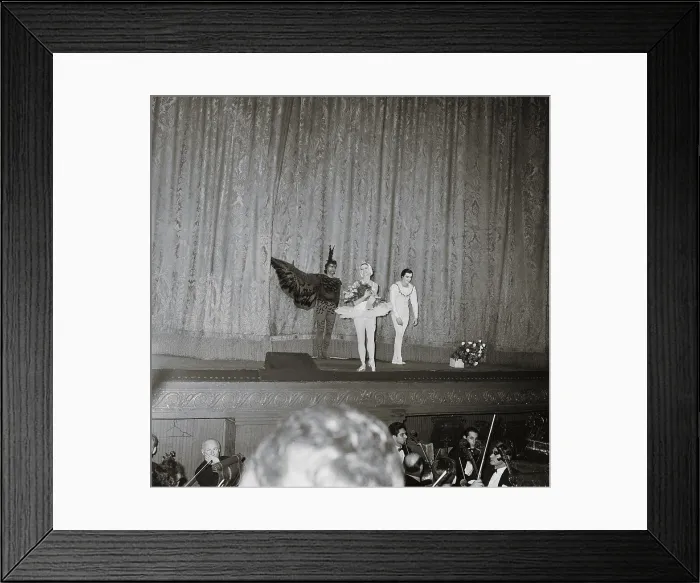 Framed Print : Performers During Ballet Curtain Call Framed Print : Performers During Ballet Curtain Call