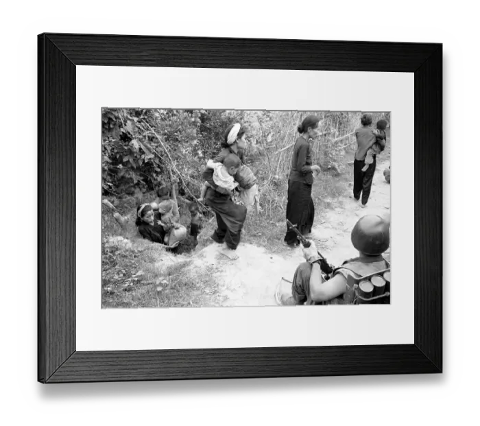 Framed Print : Friend or Foe? Framed Print : Friend or Foe?