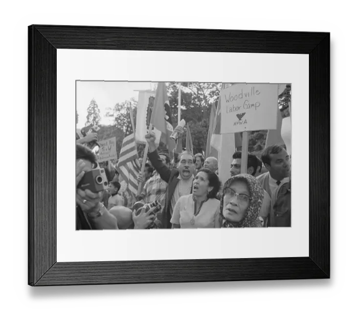 Framed Print : Grape Strikers Protesting with Signs Framed Print : Grape Strikers Protesting with Signs