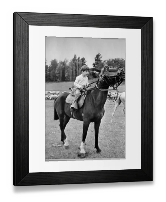 Framed Print : John F. Kennedy Jr. Riding a Horse Framed Print : John F. Kennedy Jr. Riding a Horse