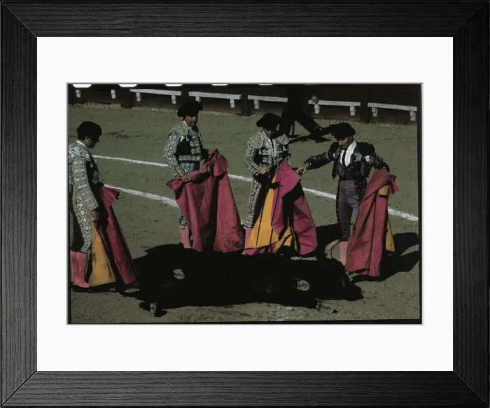 Framed Print : Matadors Looking at a Bull Framed Print : Matadors Looking at a Bull