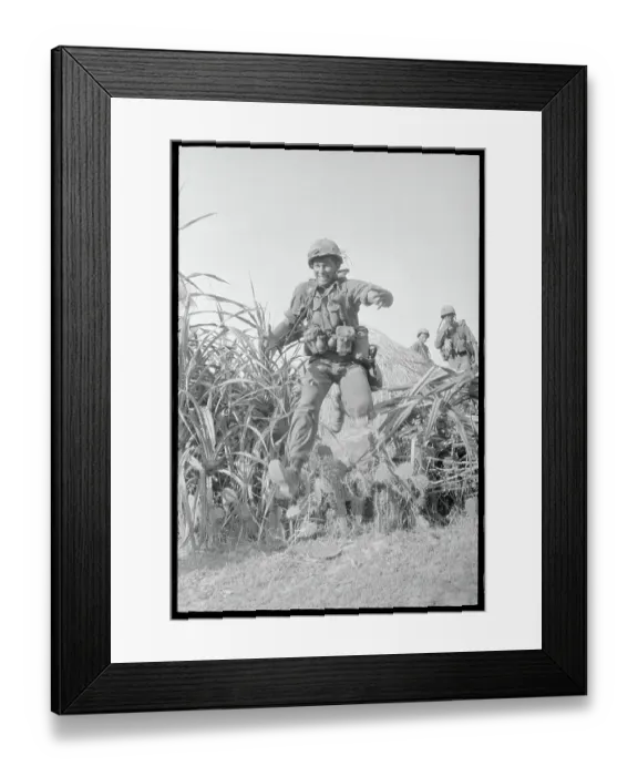 Framed Print : Soldier Leaping Over a Cactus Hedge Framed Print : Soldier Leaping Over a Cactus Hedge