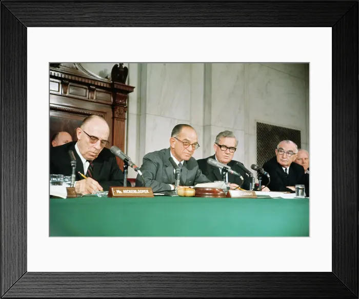 Framed Print : The Senate Foreign Relations Committee