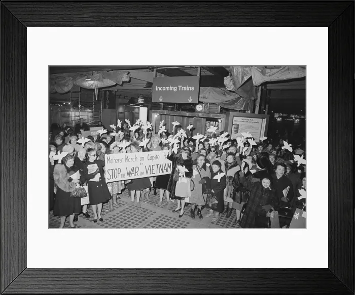 Framed Print : Women Demonstrating Vietnam War Framed Print : Women Demonstrating Vietnam War