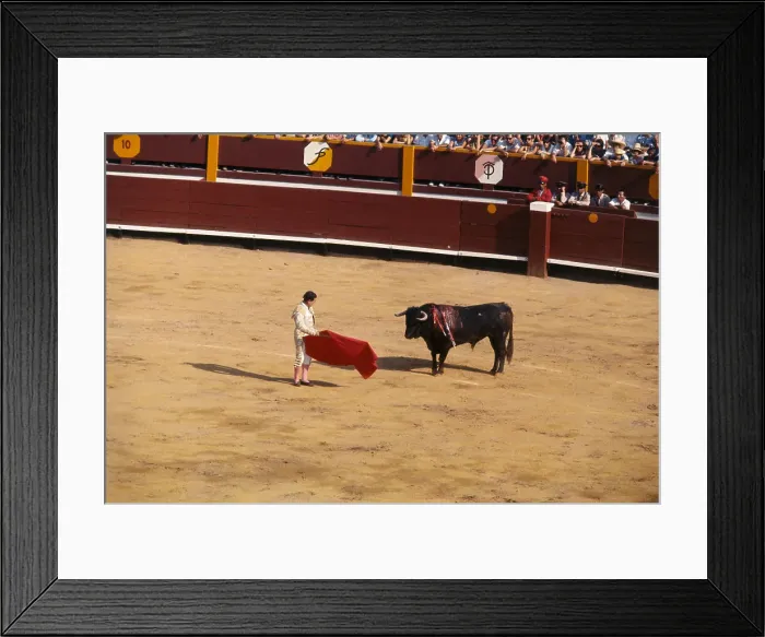 Framed Print : Opening Bullfight Framed Print : Opening Bullfight