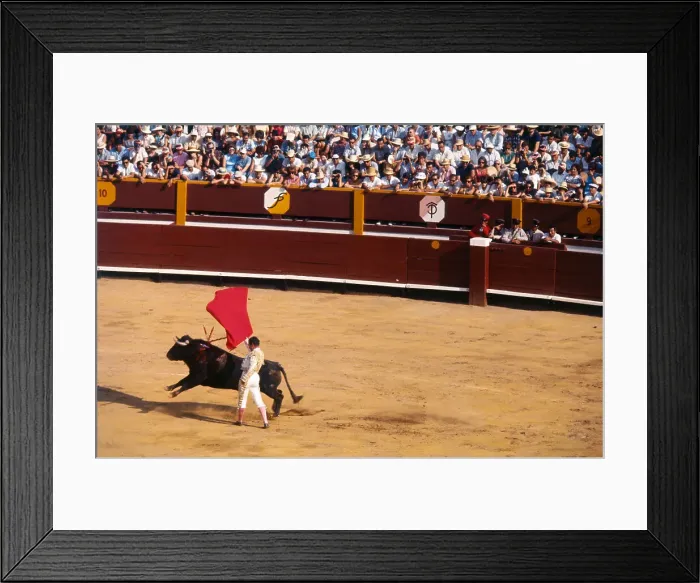 Framed Print : Bullfighter Teasing Bull