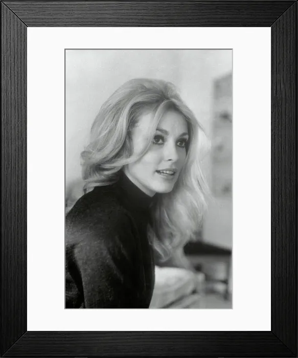 Framed Print : Actress Sharon Tate Framed Print : Actress Sharon Tate