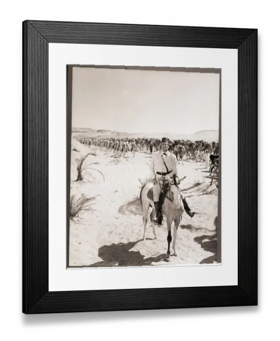 Framed Print : Charlton Heston Leading a Camel Charge Framed Print : Charlton Heston Leading a Camel Charge
