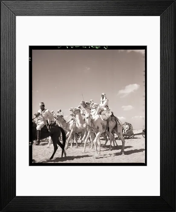 Framed Print : Diana MacNamara Riding Camel in Film Framed Print : Diana MacNamara Riding Camel in Film