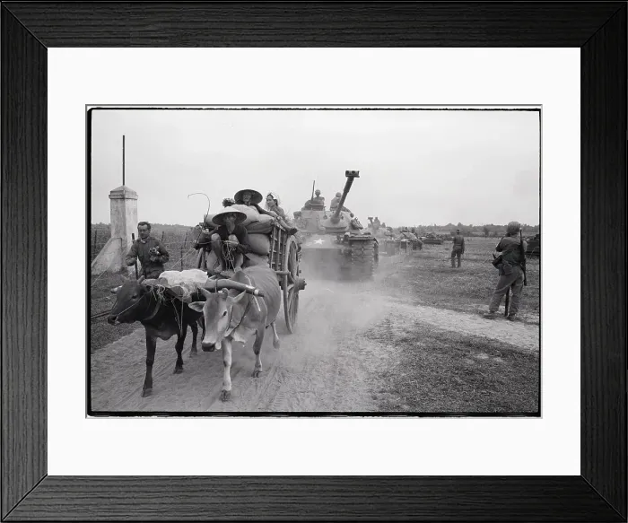 Framed Print : Military Tank Behind Ox-Cart Framed Print : Military Tank Behind Ox-Cart