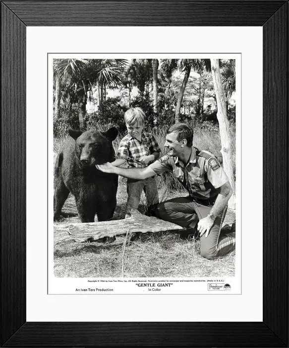 Framed Print : Dennis Weaver And Boy Petting Black Bear Framed Print : Dennis Weaver And Boy Petting Black Bear