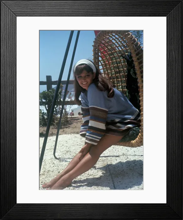 Framed Print : Claudia Cardinale Sitting in Swinging Chair Framed Print : Claudia Cardinale Sitting in Swinging Chair