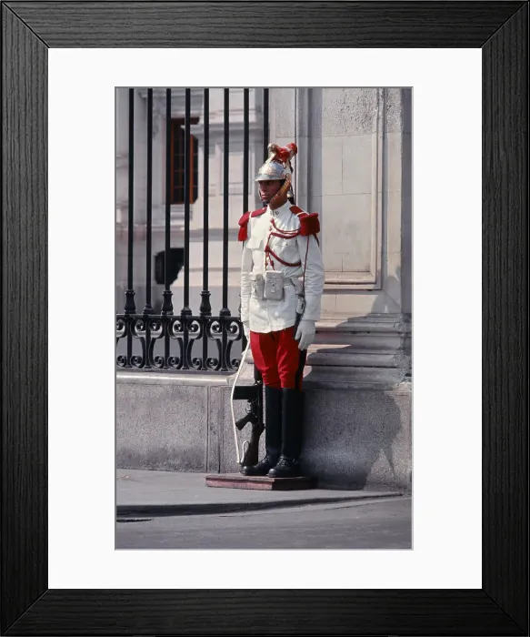 Framed Print : Government Palace Guard Framed Print : Government Palace Guard