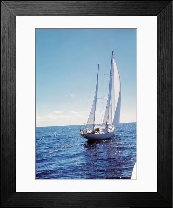 Framed Print : The Gypsy Moth IV Framed Print : The Gypsy Moth IV